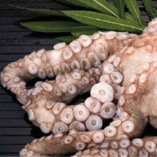 Pulpo Nº1C Fribo Cantábrico