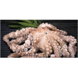 Pulpo Cantábrico